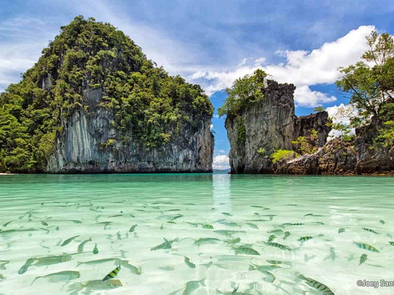 متطلبات فيزا تايلاند الالكترونية